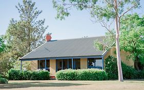 Tranquil Vale Vineyard